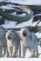 Nonton film Life on Our Planet Season 1 Episode 8 terbaru di Dutamovie21 Nonton film Life on Our Planet Season 1 Episode 8 terbaru di Dutamovie21